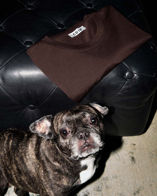 Midweight T-Shirt