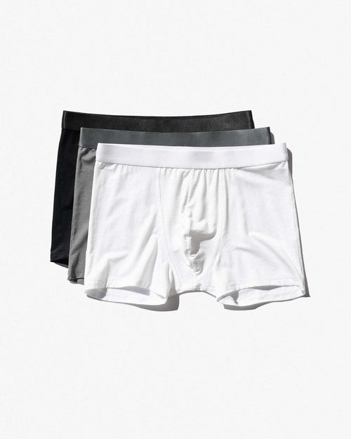 3 × Boxer Brief (Subscription)