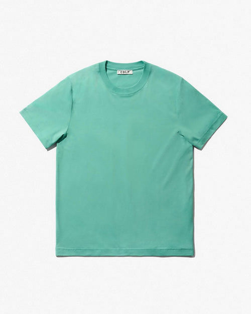 Midweight T-Shirt in Spearmint ### thumbnail
