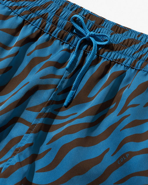 Swim Shorts