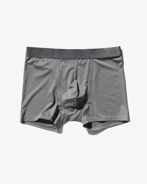 Lyocell Boxer Brief in Sky Grey