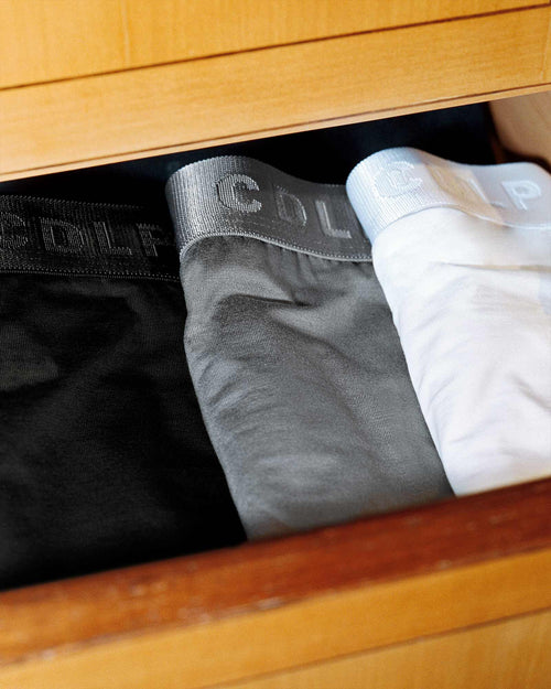 6 × Y-Brief