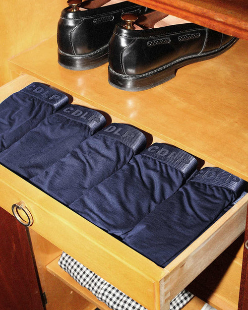 Y-Brief